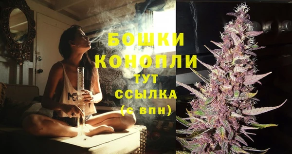 тгк Горняк