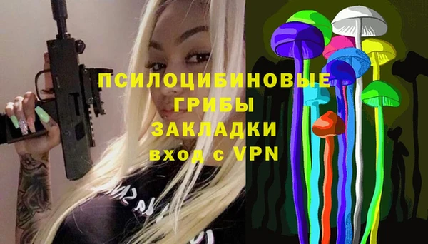 прущая мука Гусев