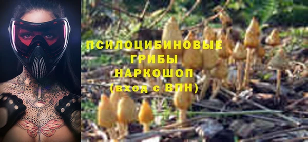 прущая мука Гусев