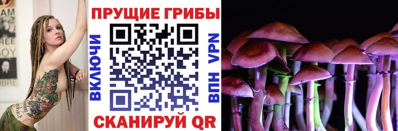 цены наркотик  Южа  Галлюциногенные грибы мицелий 
